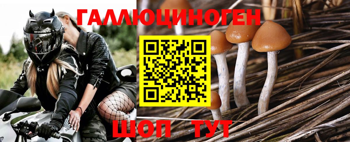 Одинцово  Псилоцибиновые грибы мицелий  Вход с VPN 
